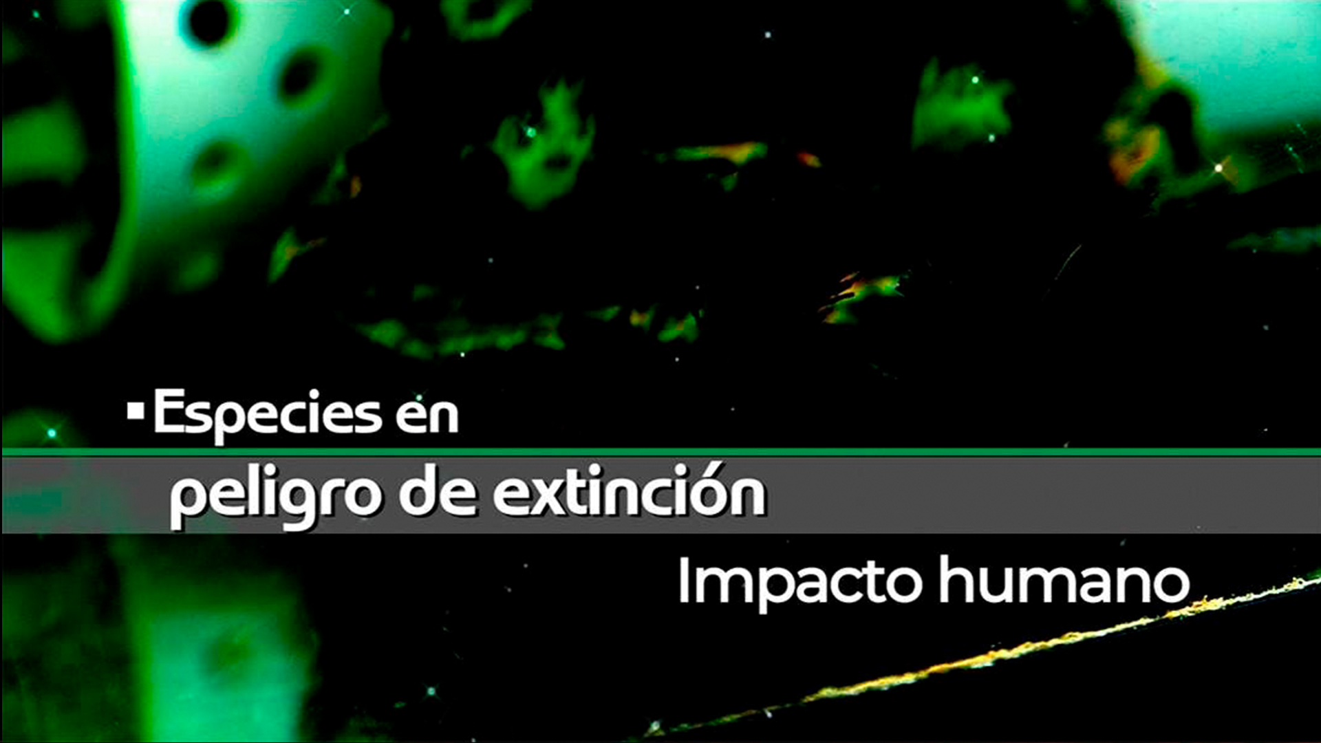 Especies en peligro de extinción. Impacto humano