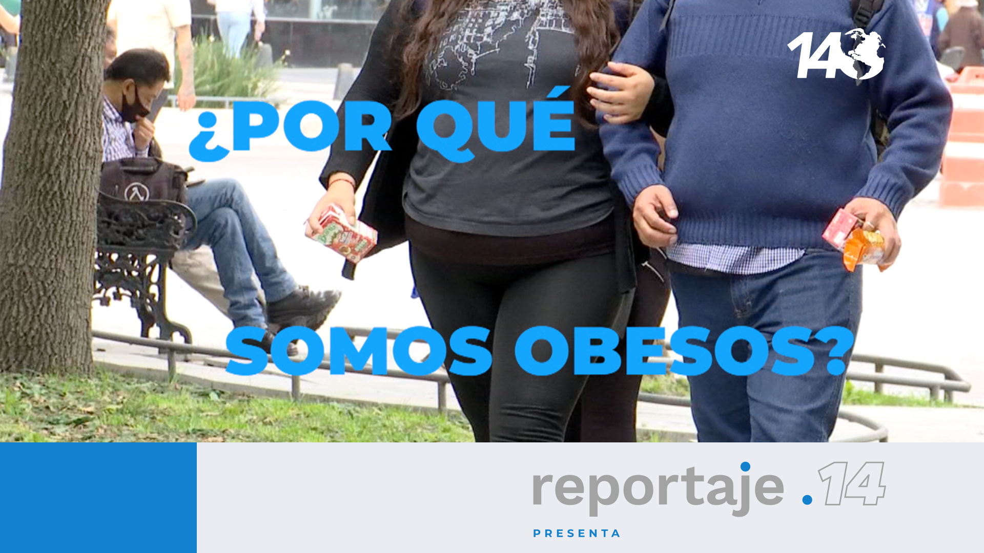 ¿Por qué somos obesos?