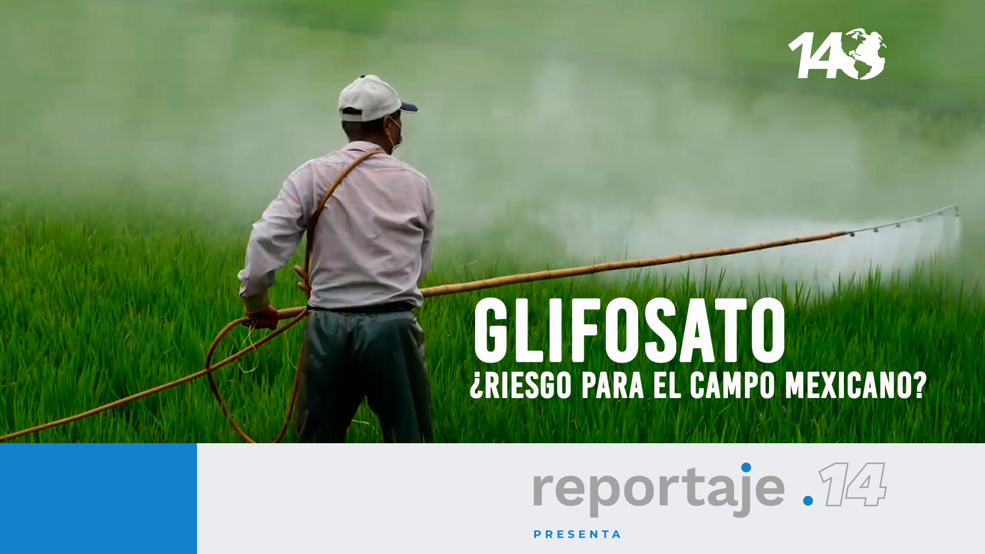 Glifosato ¿Riesgo para el campo mexicano?