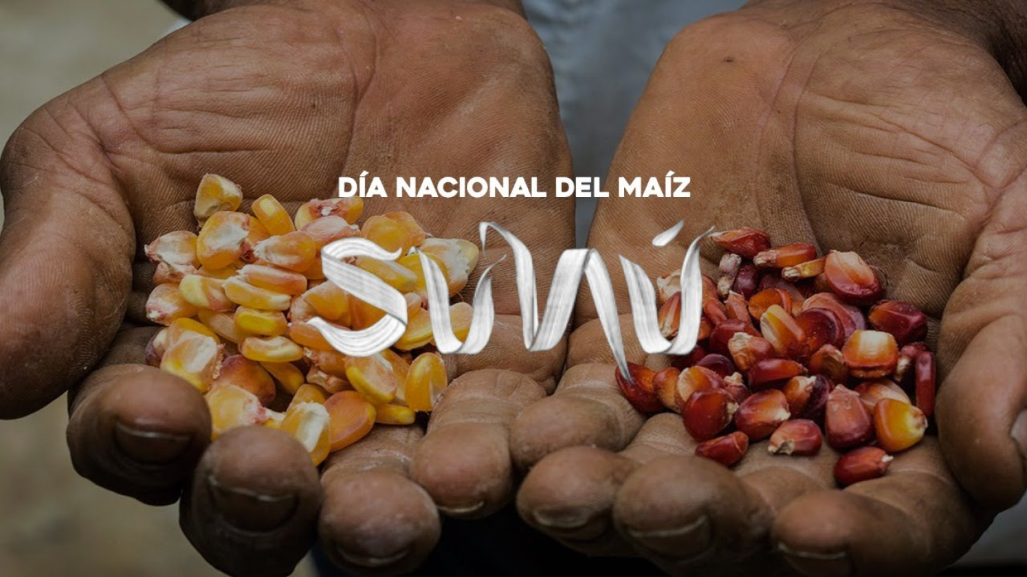 Sunú