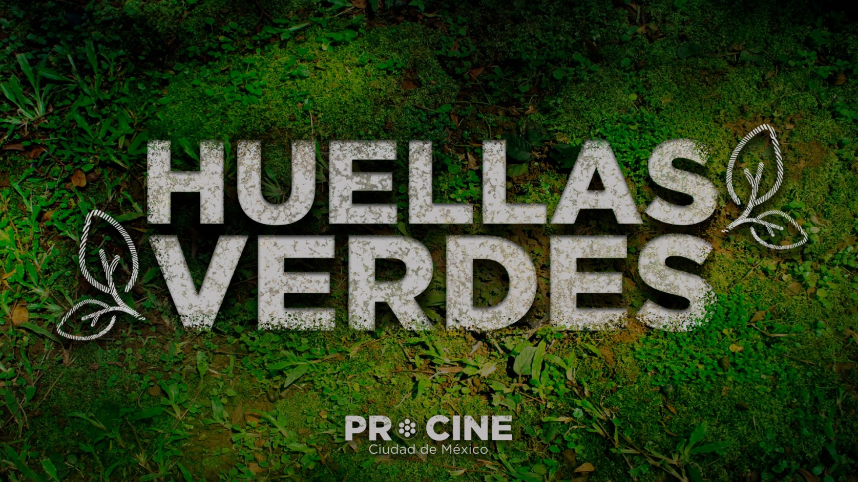 HUELLAS VERDES